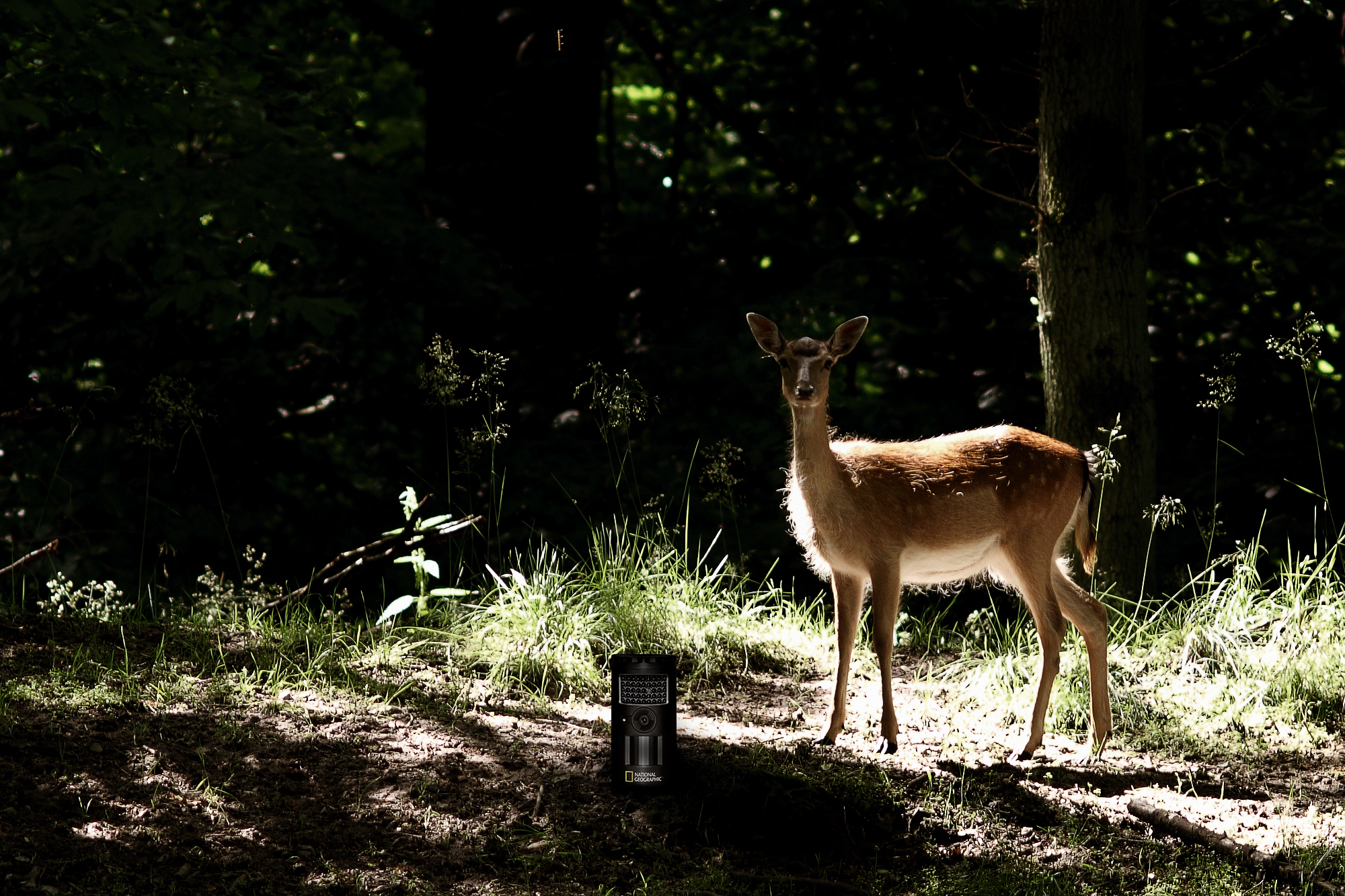 NATIONAL GEOGRAPHIC Game and Observation Camera