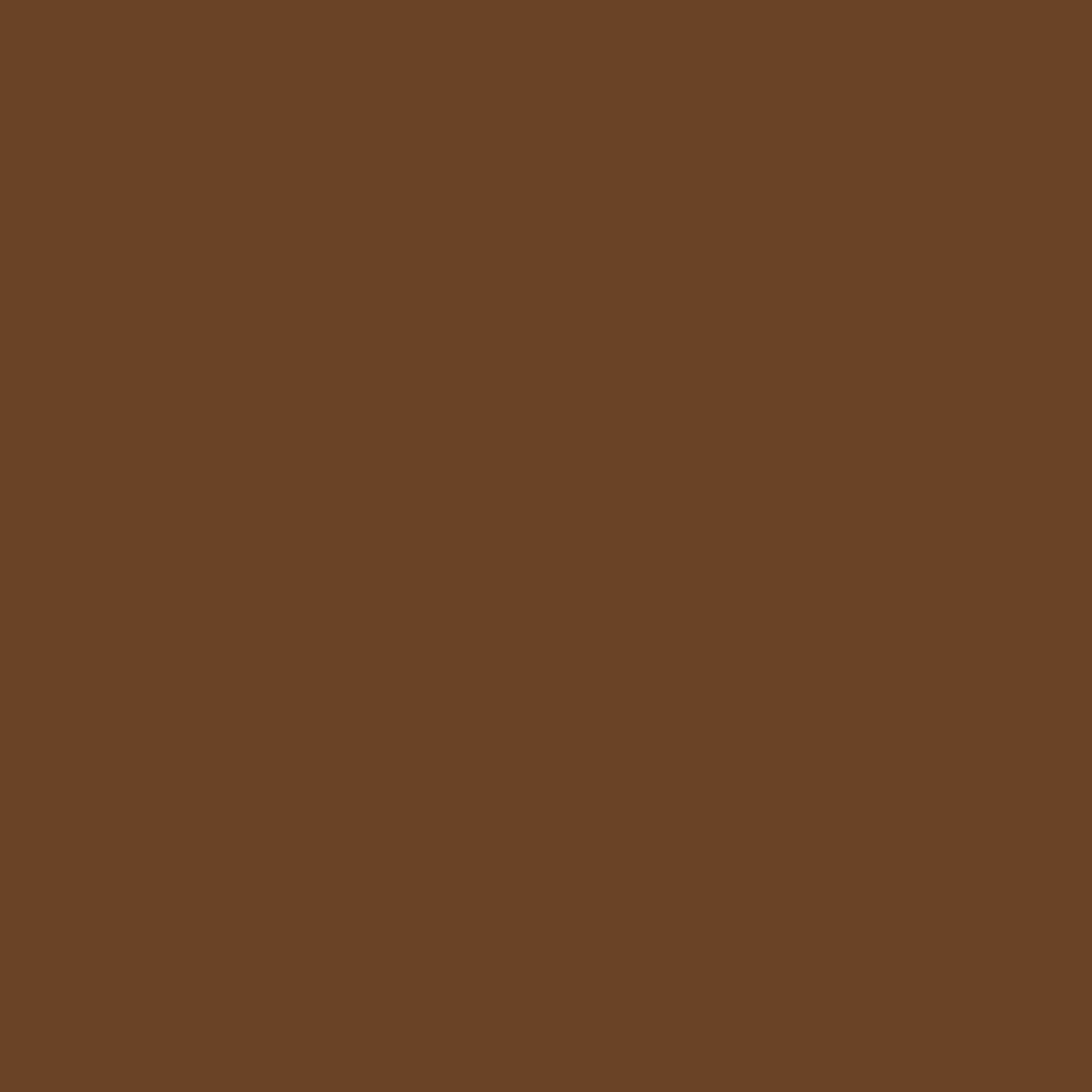 BRESSER 20 Achtergrond Rol 1.35x11m peat brown