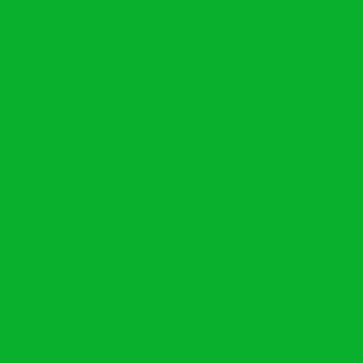 BRESSER SBP10 Achtergrond Rol 1,69 x 11m Chromakey Groen