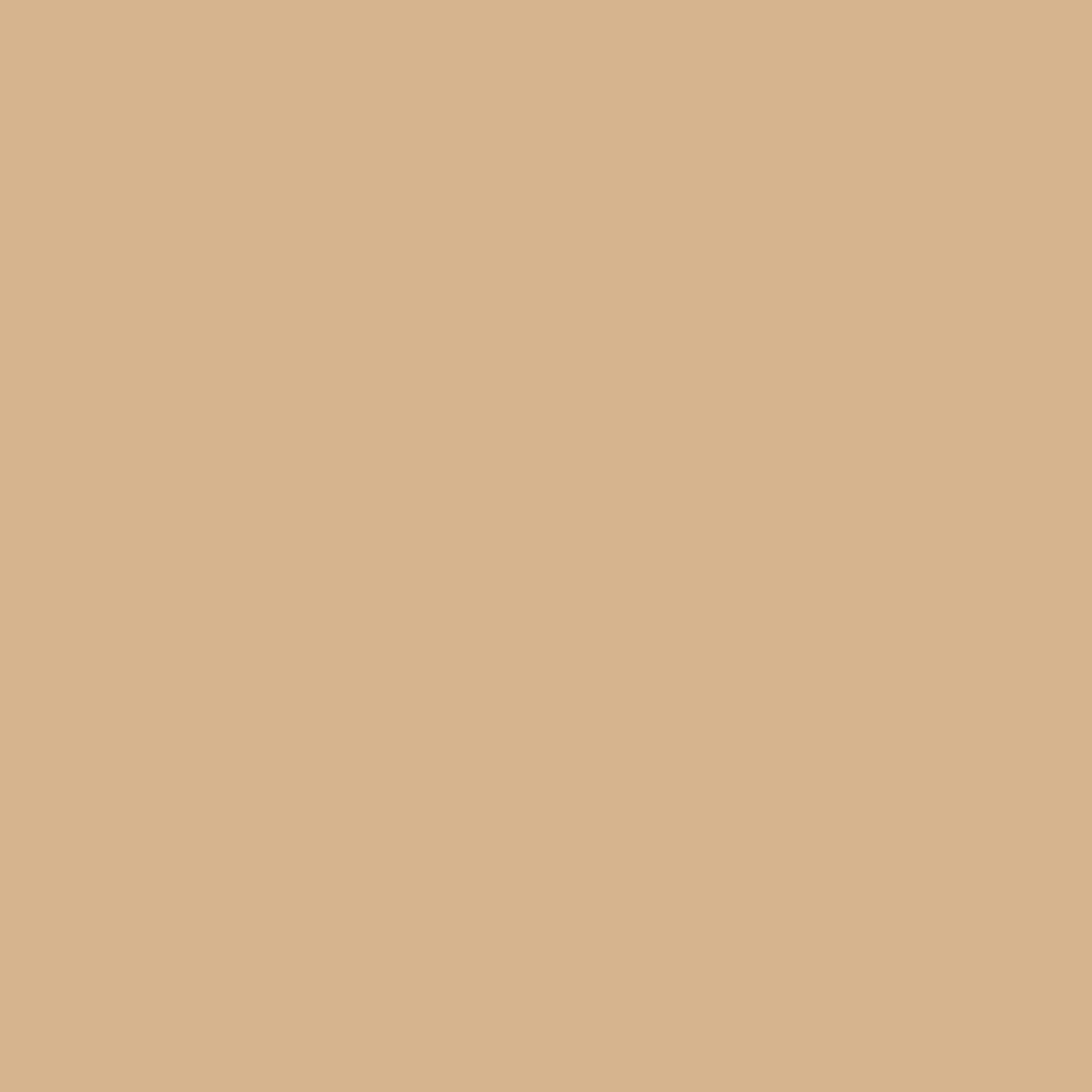 BRESSER SBP15 Achtergrondpapier 2,00x11m beige