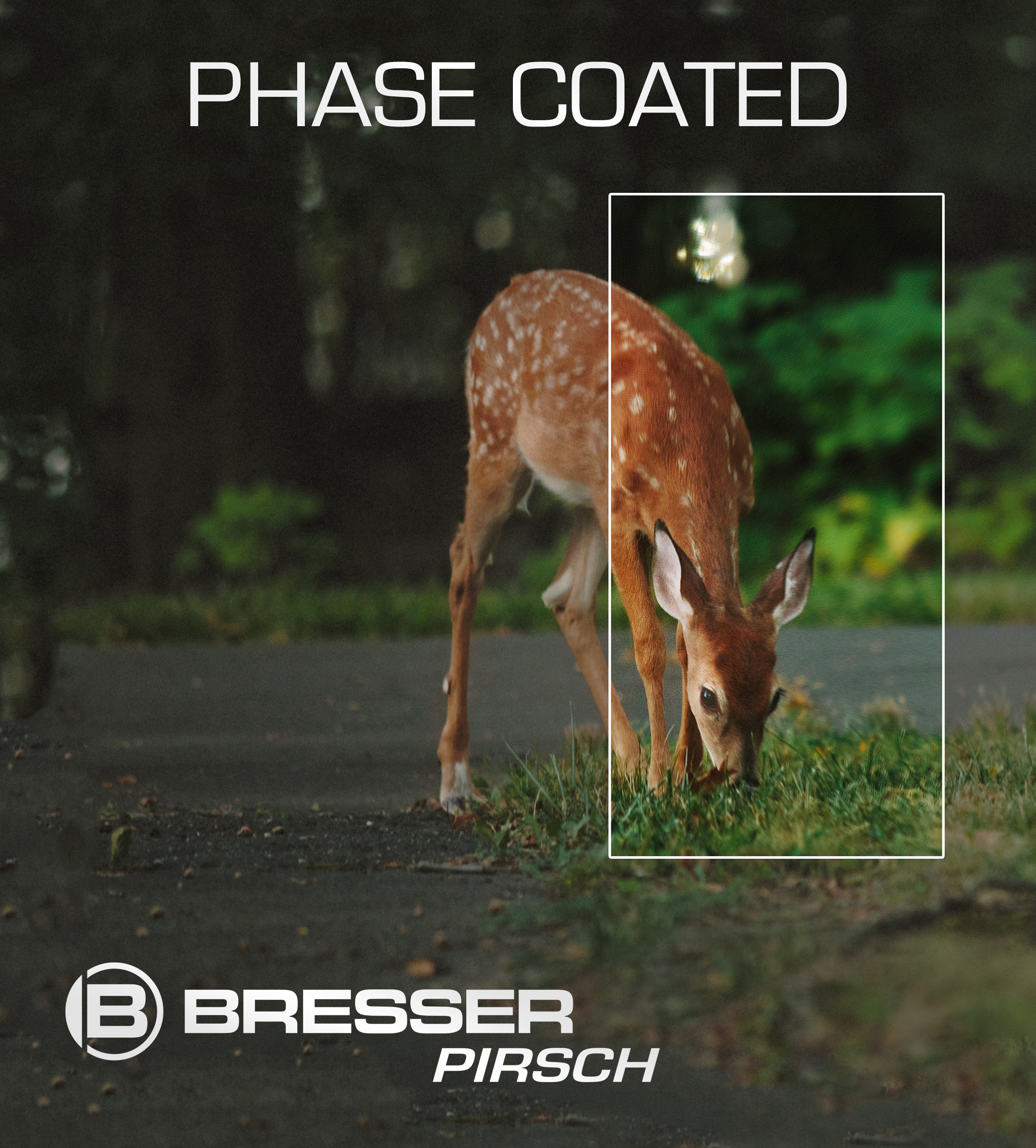 BRESSER Pirsch 8x56 Verrekijker met Phase Coating